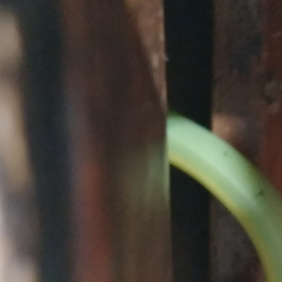 Round Tablecloth & 5 LG napkins - Picture 3 of 6